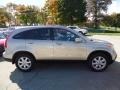 Borrego Beige Metallic - CR-V EX-L 4WD Photo No. 5