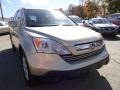 Borrego Beige Metallic - CR-V EX-L 4WD Photo No. 6