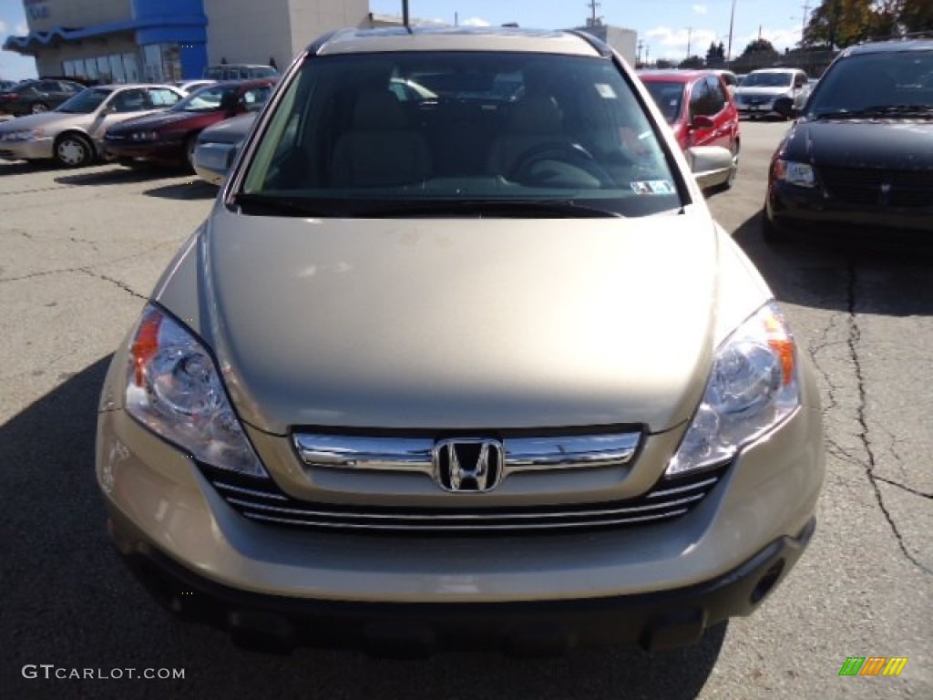 2009 CR-V EX-L 4WD - Borrego Beige Metallic / Ivory photo #7