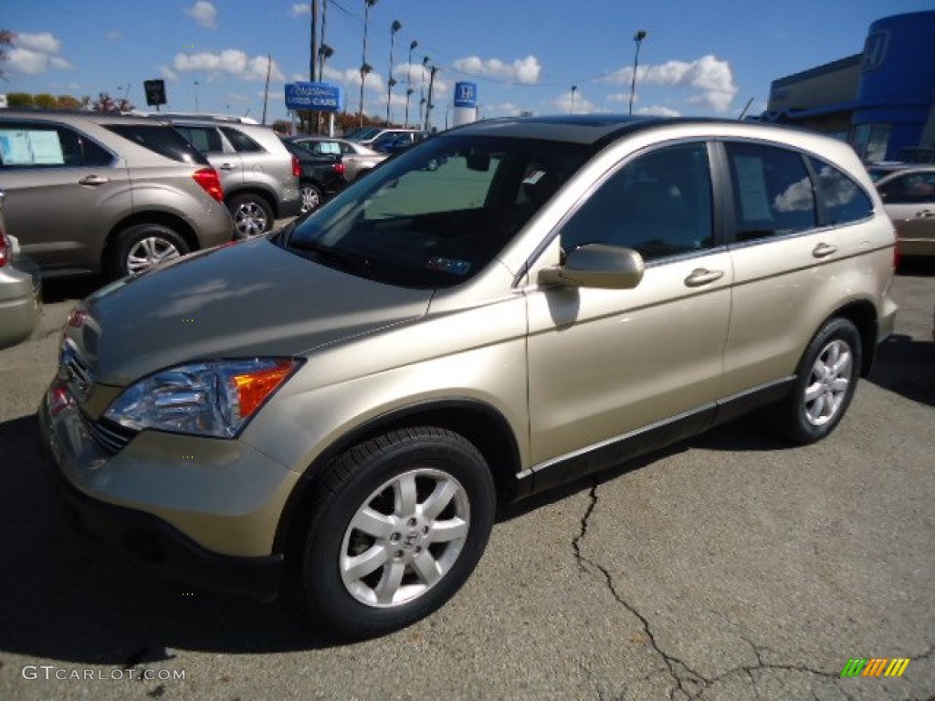 2009 CR-V EX-L 4WD - Borrego Beige Metallic / Ivory photo #8