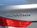 2013 Titanium Gray Metallic Hyundai Elantra GLS  photo #11