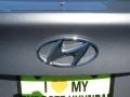 2013 Titanium Gray Metallic Hyundai Elantra GLS  photo #12