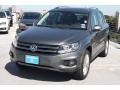 Pepper Gray Metallic - Tiguan SE 4Motion Photo No. 3