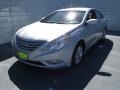 Radiant Silver - Sonata GLS Photo No. 6