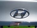 Radiant Silver - Sonata GLS Photo No. 12