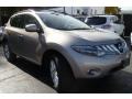 Platinum Graphite Metallic - Murano SL AWD Photo No. 4