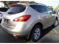 Platinum Graphite Metallic - Murano SL AWD Photo No. 5