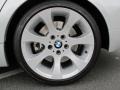 2007 Titanium Silver Metallic BMW 3 Series 335i Sedan  photo #17
