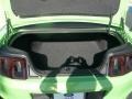 2013 Gotta Have It Green Ford Mustang GT Premium Coupe  photo #5