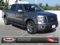 2010 Sterling Grey Metallic Ford F150 FX2 SuperCrew  photo #1