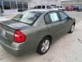 2006 Silver Green Metallic Chevrolet Malibu LT V6 Sedan  photo #20