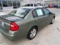 2006 Silver Green Metallic Chevrolet Malibu LT V6 Sedan  photo #20