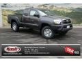 2013 Magnetic Gray Metallic Toyota Tacoma Access Cab 4x4  photo #1