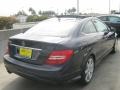 2013 Lunar Blue Metallic Mercedes-Benz C 250 Coupe  photo #4