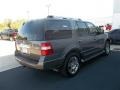 2010 Sterling Grey Metallic Ford Expedition Limited  photo #11
