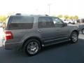2010 Sterling Grey Metallic Ford Expedition Limited  photo #12