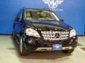 Black - ML 350 4Matic Photo No. 1