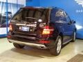 Black - ML 350 4Matic Photo No. 9