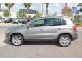 Alpine Grey Metallic - Tiguan SE Photo No. 5