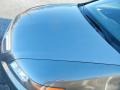 Anthracite Metallic - TL 3.2 Photo No. 21
