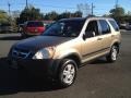 2004 Mojave Mist Metallic Honda CR-V EX 4WD  photo #1