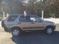 2004 Mojave Mist Metallic Honda CR-V EX 4WD  photo #4