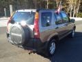 2004 Mojave Mist Metallic Honda CR-V EX 4WD  photo #6