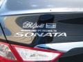 Midnight Black - Sonata GLS Photo No. 16
