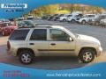 Sandstone Metallic - TrailBlazer LS 4x4 Photo No. 5