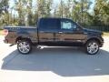 Tuxedo Black Metallic 2013 Ford F150 Limited SuperCrew 4x4 Exterior