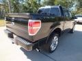 Tuxedo Black Metallic 2013 Ford F150 Limited SuperCrew 4x4 Exterior