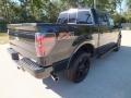 Tuxedo Black Metallic - F150 FX4 SuperCrew 4x4 Photo No. 5