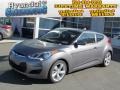 Triathlon Gray - Veloster  Photo No. 1