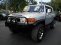 Titanium Metallic - FJ Cruiser 4WD Photo No. 9