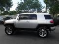 Titanium Metallic - FJ Cruiser 4WD Photo No. 10