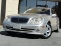 Pewter Silver Metallic - E 500 Sedan Photo No. 2