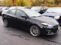 Pitch Black - Dart Rallye Photo No. 2