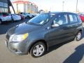 Medium Gray 2010 Chevrolet Aveo Aveo5 LS