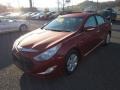 Venetian Red Pearl - Sonata Hybrid Photo No. 3