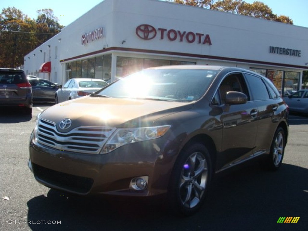 2009 Venza V6 AWD - Sunset Bronze Mica / Ivory photo #1