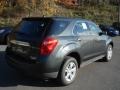 2013 Ashen Gray Metallic Chevrolet Equinox LS  photo #8