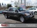 Smoke Gray 2006 Nissan Titan SE Crew Cab