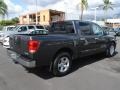 Smoke Gray - Titan SE Crew Cab Photo No. 4