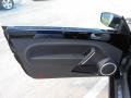 Titan Black 2013 Volkswagen Beetle TDI Door Panel