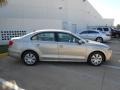 Moonrock Silver Metallic - Jetta SE Sedan Photo No. 8
