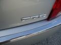 Radiant Silver - CTS Sedan Photo No. 43