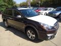 2013 Brilliant Brown Pearl Subaru Outback 2.5i Limited  photo #6