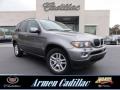 Sterling Grey Metallic - X5 3.0i Photo No. 1
