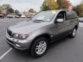 Sterling Grey Metallic - X5 3.0i Photo No. 2
