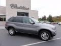 Sterling Grey Metallic - X5 3.0i Photo No. 5